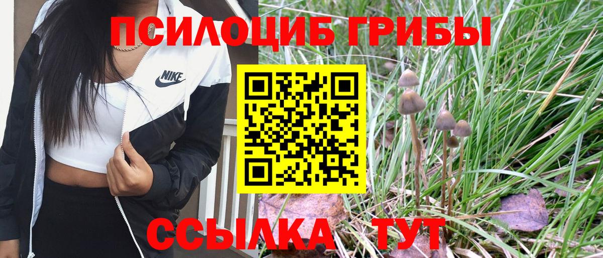 Псилоцибиновые грибы Psilocybine cubensis  Галлюциногенные грибы GOLDEN TEACHER  Вход с VPN  Строитель 