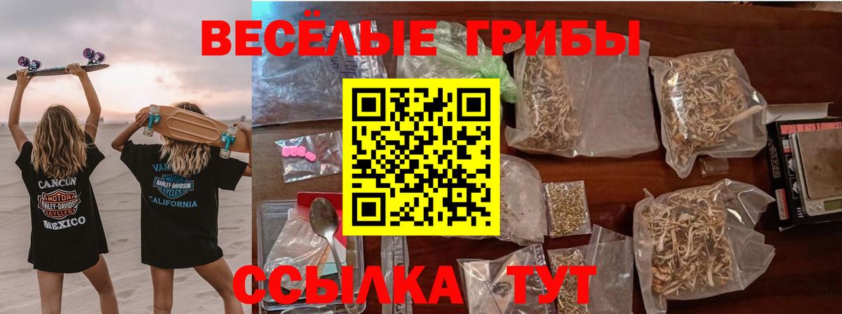Псилоцибиновые грибы Magic Shrooms Строитель